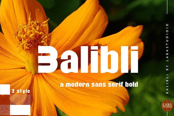 Balibli: A Modern Sans Serif Typeface for Strong Brand Identity