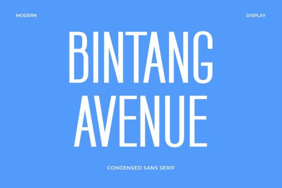 Bintang Avenue Font for Modern Branding and Campaigns