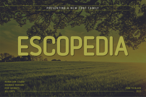 Escopedia Rounded for Professional Branding