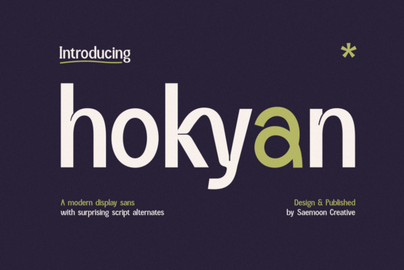 Hokyan: A Modern Sans Serif Font for Business Branding