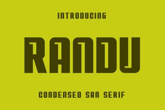 How Randu Boosted My Campaign's Visual Clarity