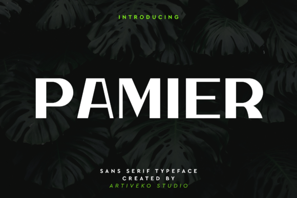 Pamier: A Modern Sans Serif Font for Campaign Creativity
