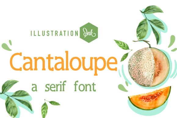 Pn Cantaloupe Fn Serif Font for Web Design