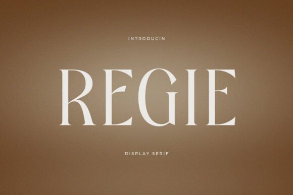 Regie Serif Font Review for Real-World Design