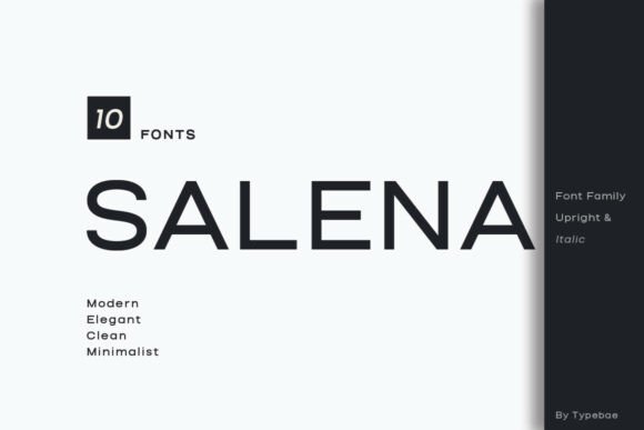 Salena: A Modern Font for Small Business Branding