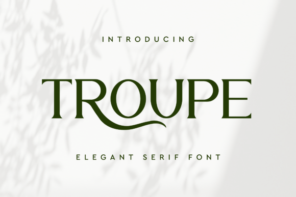 Troupe Serif Font for Modern Branding